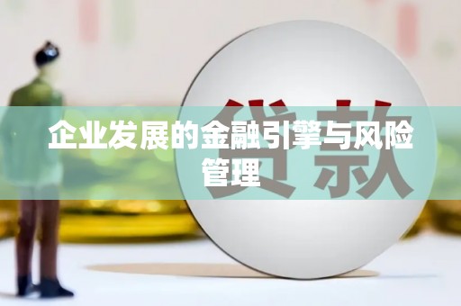 三地门企业发展的金融引擎与风险管理