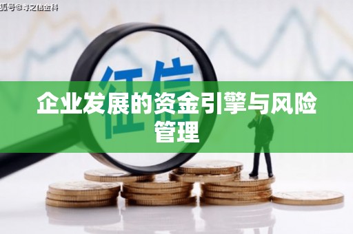 三地门企业发展的资金引擎与风险管理