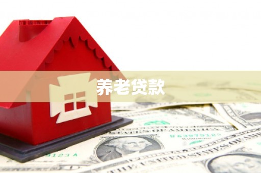 三地门养老贷款