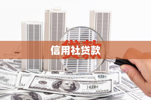 三地门信用社贷款