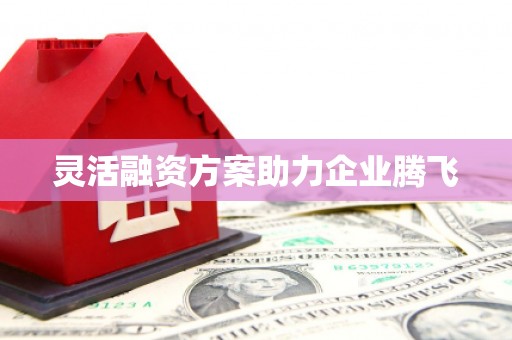 三地门灵活融资方案助力企业腾飞