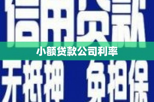 三地门小额贷款公司利率