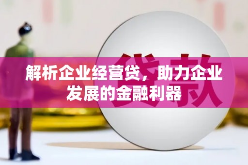 三地门解析企业经营贷，助力企业发展的金融利器