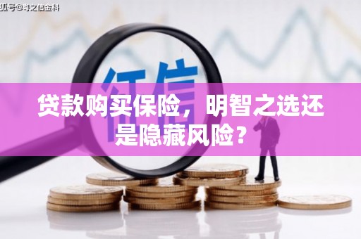 三地门贷款购买保险，明智之选还是隐藏风险？
