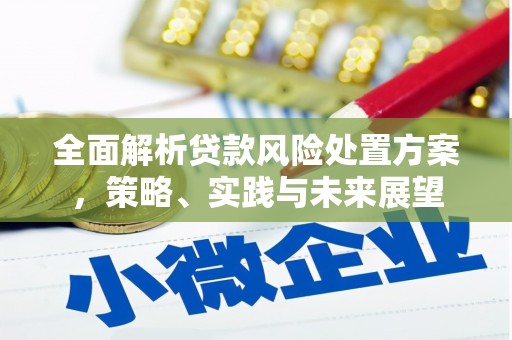 三地门全面解析贷款风险处置方案，策略、实践与未来展望