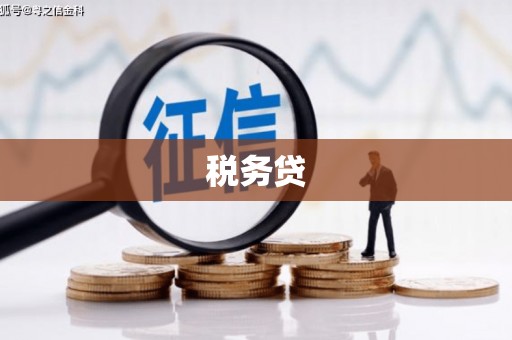 三地门税务贷