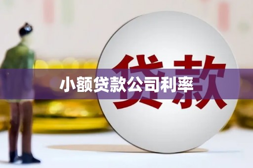 三地门小额贷款公司利率