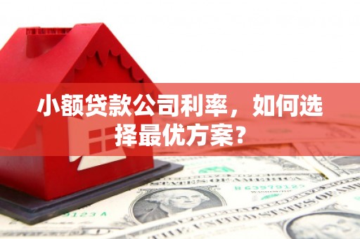 三地门小额贷款公司利率，如何选择最优方案？