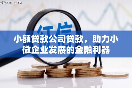 三地门小额贷款公司贷款，助力小微企业发展的金融利器
