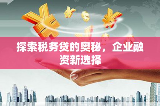 三地门探索税务贷的奥秘，企业融资新选择