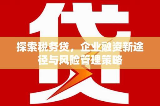三地门探索税务贷，企业融资新途径与风险管理策略
