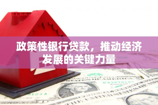 三地门政策性银行贷款，推动经济发展的关键力量