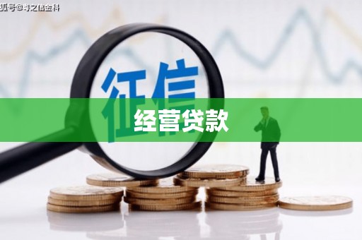 三地门经营贷款