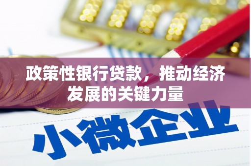 三地门政策性银行贷款，推动经济发展的关键力量