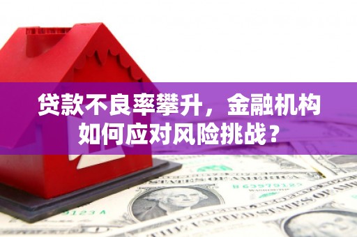 三地门贷款不良率攀升，金融机构如何应对风险挑战？