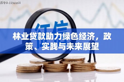 三地门林业贷款助力绿色经济，政策、实践与未来展望