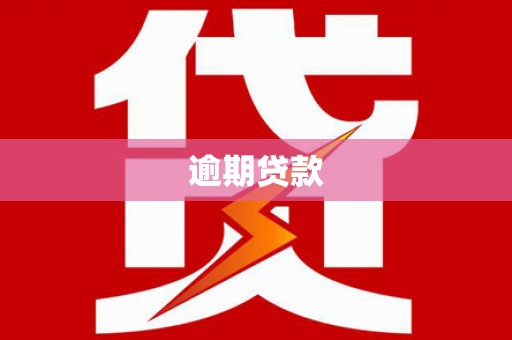 三地门逾期贷款
